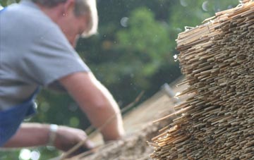 professional Norwick thatchers